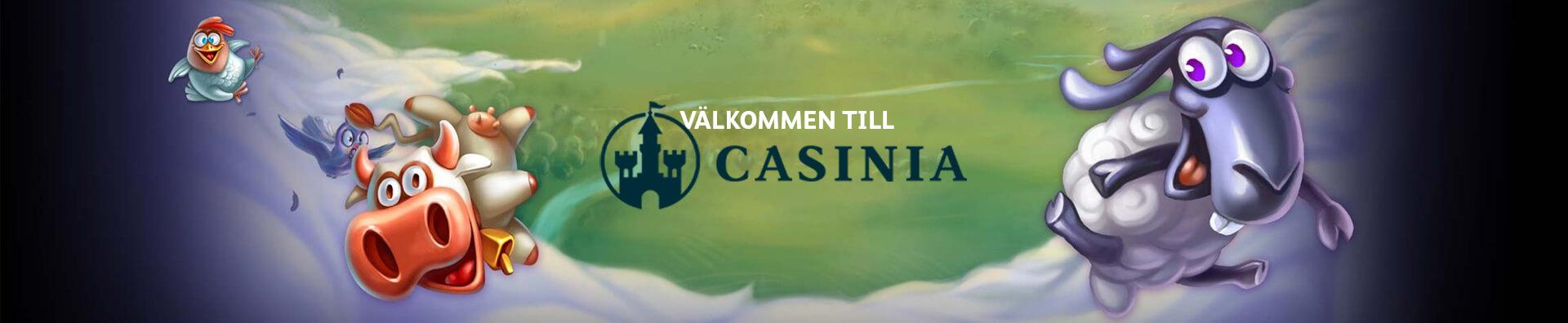 Casinia Banner