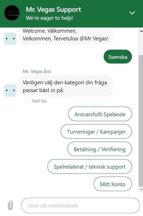 visar chat med Mr Vegas chatbot - Mr Vegas recension