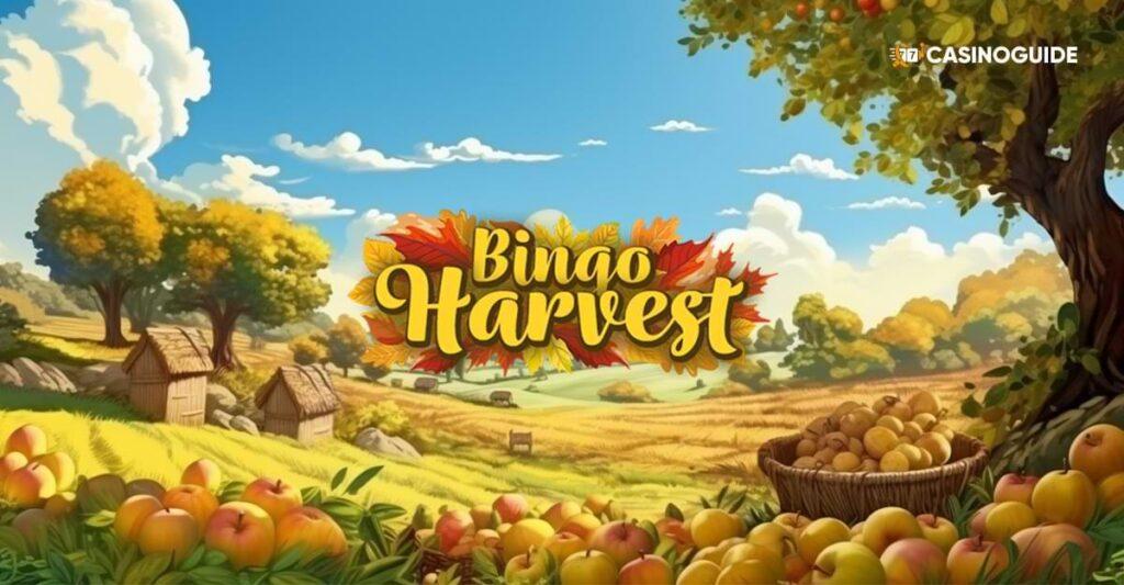 bild av Bingo Harvest