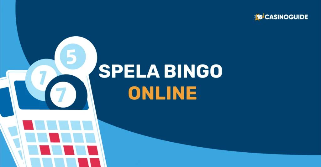 spela bingo online guide